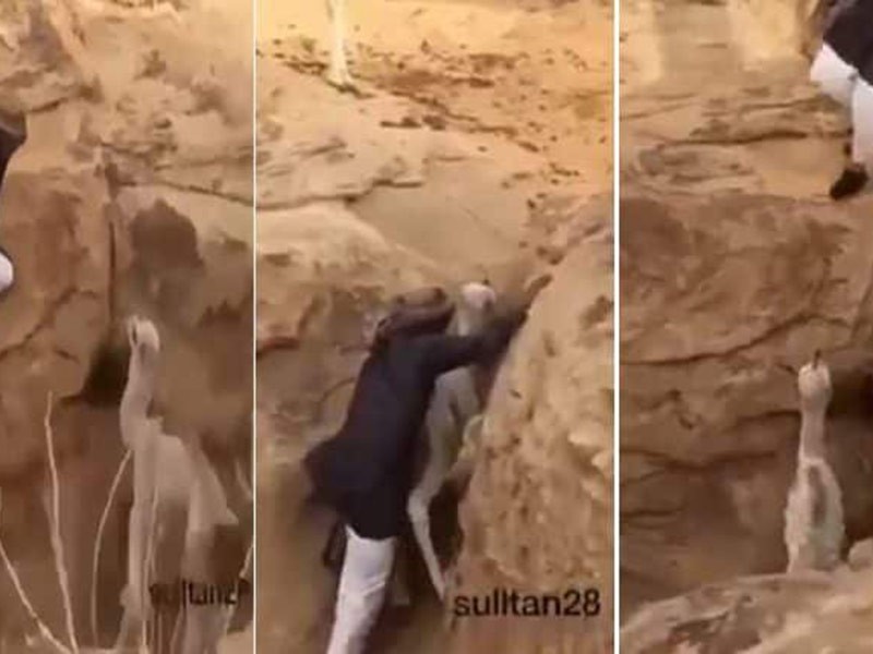 اضغط لمشاهدة الفيديو: شاب سعودي يخاطر بحياته لإنقاذ جمل صغير
